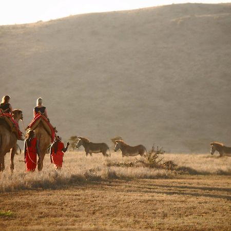 Elewana Lewa Safari Camp Hotel Timau Exterior foto