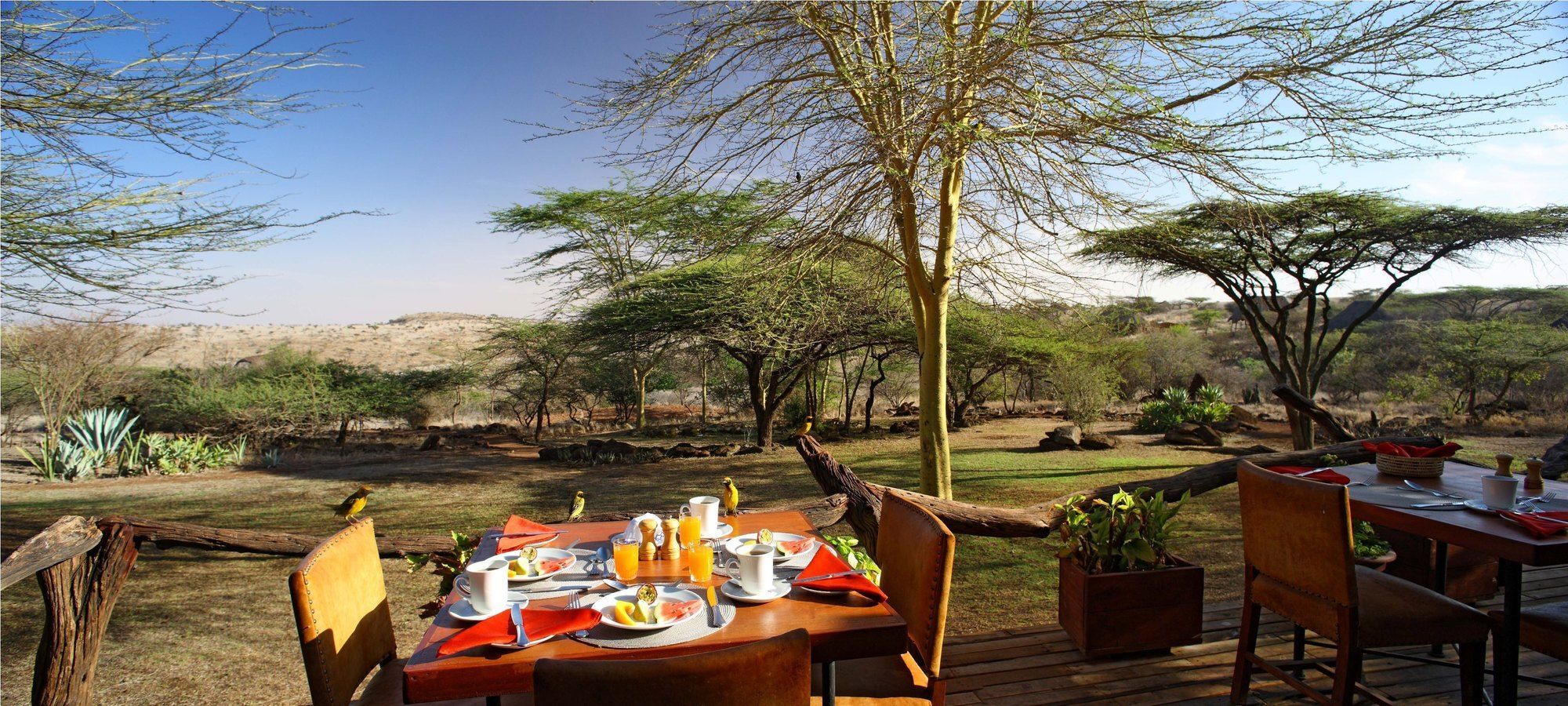 Elewana Lewa Safari Camp Hotel Timau Exterior foto